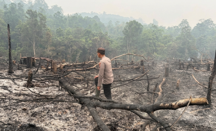 Warga dan Polisi Cek Lahan Terbakar di Toba Sanggau, Penyebab Karhutla Diselidiki