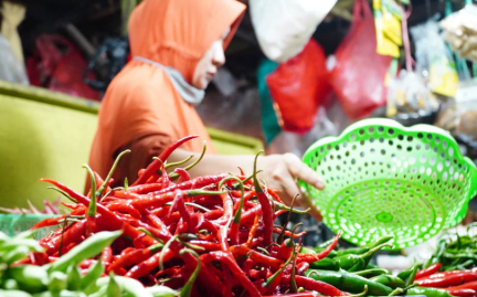 Harga Konsumen Kalbar Naik pada September 2026, Tujuh Kelompok Pengeluaran Alami Inflasi
