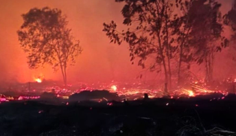 Hotspot Kalbar Tembus 262 Titik, Potensi Karhutla Perlu Diwaspadai 3–9 Oktober