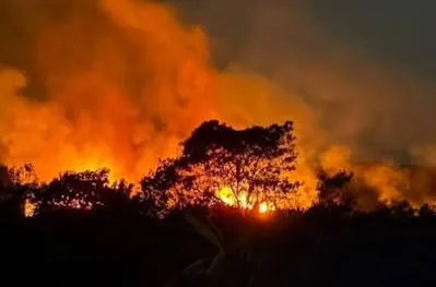 Awal Oktober, BNPB Catat 3 Kejadian Karhutla Baru hingga Banjir Nias Selatan