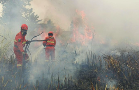 Anggaran Karhutla Kalbar Rp205 Miliar, Realisasi Baru 17 Persen Saat Kabut Asap Masih Terjadi
