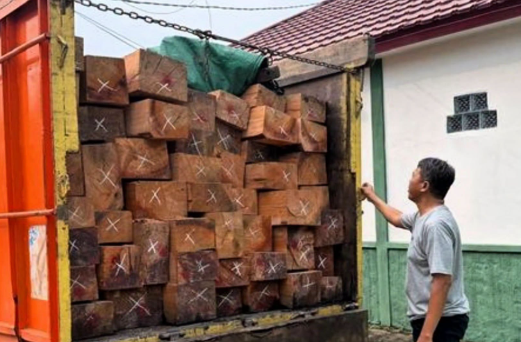 Truk Angkut Kayu Diduga Ilegal Diamankan di Sanggau, Satu Orang Jadi Tersangka