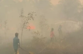 Karhutla Ketapang Terjadi Dua Tahap, Kapan Operasi Penanganan Mulai Difokuskan?