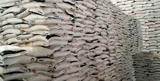 Upaya Kendalikan Harga Beras, Bulog Siapkan Distribusi 300 Ribu Ton Beras Premium