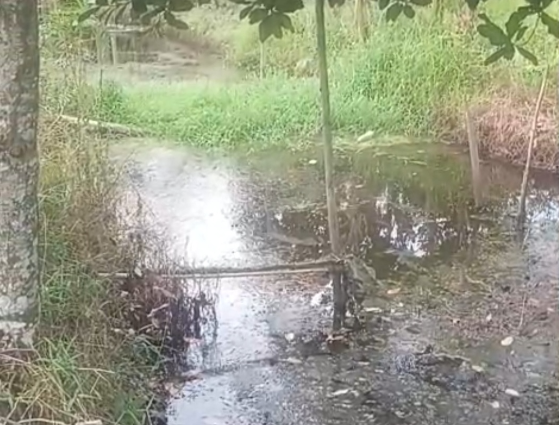 Kondisi saluran di Desa Rasau Jaya 1, Kabupaten Kubu Raya, menjadi perhatian dalam penelusuran kesesuaian pekerjaan normalisasi dengan spesifikasi kontrak. (Dok. Ist)