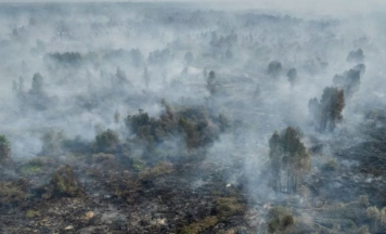 Cuaca Kalbar 13 Oktober 2026: Kabut Asap Berlanjut, Sejumlah Wilayah Berpotensi Hujan Ringan
