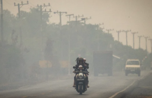 Dokter Paru Peringatkan Bahaya Karbon Monoksida dari Asap Karhutla, Bisa Picu Kekurangan Oksigen Hingga Kematian
