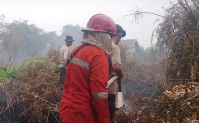 Karhutla di Ketapang, 49,2 Hektare Lahan Terbakar Dipadamkan di 10 Lokasi