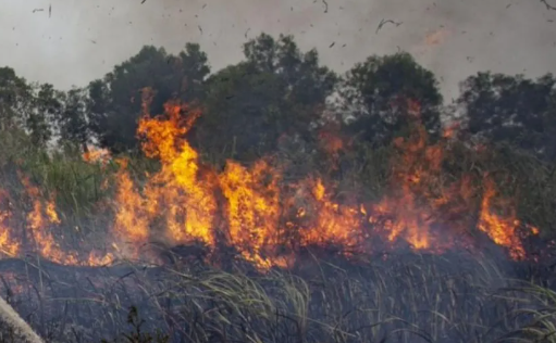 539 Titik Panas Terdeteksi di Kalbar, Ancaman Karhutla Masih Perlu Diwaspadai