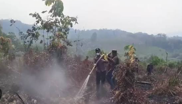 Ancaman Karhutla dan Kabut Asap Hantui Sekadau Kepolisian Imbau Warga Tidak Buka Lahan dengan Membakar