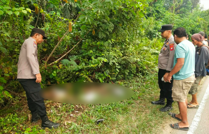 Pejalan Kaki Asal Parindu Ditemukan Tewas di Tayan Hulu, Diduga Jadi Korban Tabrak Lari