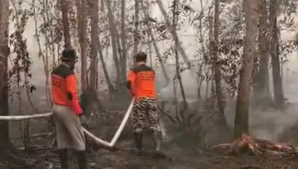 Baznas Kerahkan 70 Personel untuk Tangani Karhutla di Sejumlah Wilayah