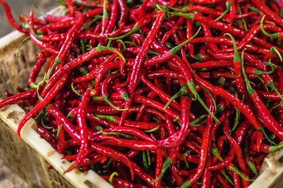 Harga Cabai Merah Naik di 327 Kabupaten/Kota