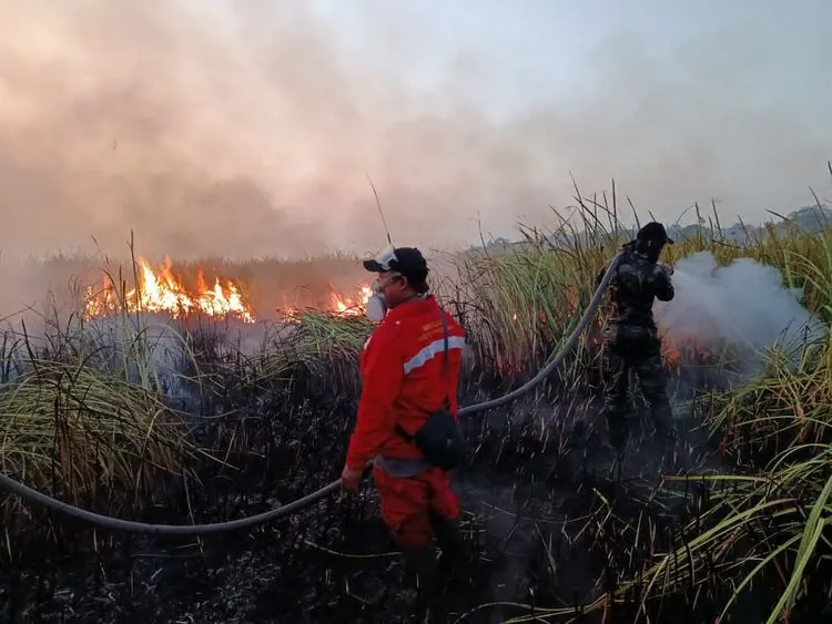 Belasan Taman Nasional Terbakar, Pengawasan Kawasan Konservasi Disorot