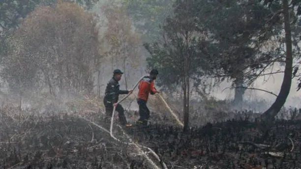 Cegah Karhutla Meluas, BRIN Manfaatkan Satelit untuk Deteksi Titik Api