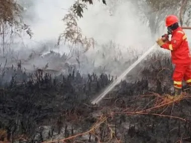 Hotspot Karhutla Naik Jadi 154 Titik, Kemenhut Perkuat Pemadaman di Kalteng