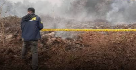 Kemenhut Tetapkan PT MAP Tersangka Kebakaran Hutan di Sungai Mempawah Kalbar
