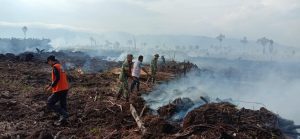 Api Bakar Hutan dan Lahan Beberapa Gampong Aceh Selatan