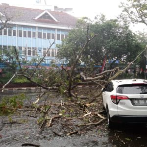 Angin Kencang Terjang Malang Kota, Empat Orang Cidera