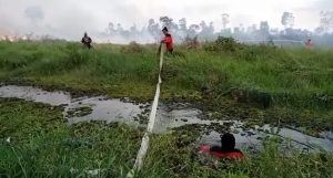 Titik Api di Barito Kuala Telah Padam, Karhutla Masih Mengintai