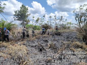 BPBD Pulang Pisau Berhasil Padamkan Kebakaran Lahan 4 Hektar