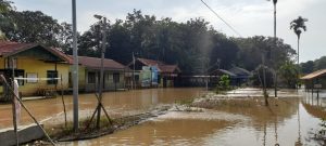 Banjir Ganggu Aktivitas Warga Kabupaten Katingan