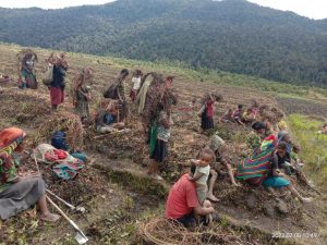 Pemkab Lanny Jaya Aktifkan Posko Tangani Bencana Kekeringan