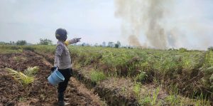 Karhutla di Batu Ampar, Pemadaman Alami Banyak Kendala