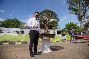 Ade Agik Ide Edi Kamtono, Taman Bonsai di Kota Pontianak