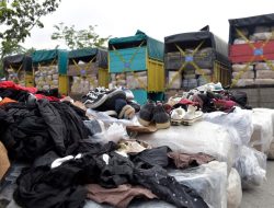 Kepri dan Jawa Mulai Musnahkan Thrift/Lelong