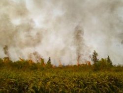 Waspada !, Kalbar Masuk Provinsi Terdampak El Nino