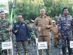 Sekda Ketapang Turun Menanam Mangrove di Acara Puncak Penanaman Mangrove Nasional