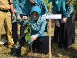 Aksi PKK Pontianak Tanam Pohon Demi Revolusi Hijau