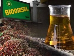BBM Hijau dari Minyak Sawit,Indonesia Hemat Rp161,55 T