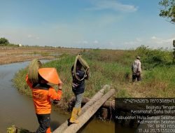 Lahan Seluas 6,3 Hektar Terbakar