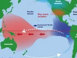 BMKG Sebut Dampak El Nino Mulai Terjadi, Puncak Dimulai Agustus Ini