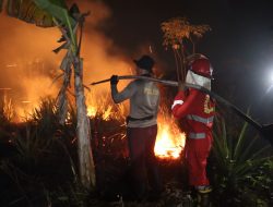 Pelaku Karhutla Terus Bertambah Digaruk Polisi