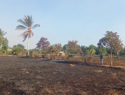 Lahan 5 Hektar Membara, Pelaku Dijemput Polisi di Rumahnya