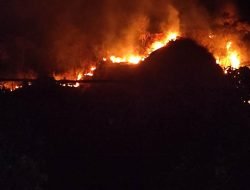 Kebakaran Terjadi di Lereng Gunung