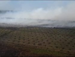 Asap Karhutla Selimuti Ketapang, Simak Dampaknya Bagi Kesehatan