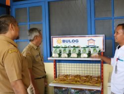 RPK Bulog Ketapang Diharapkan Menjadi Pengendali Harga