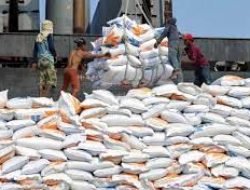 Se Indonesia, Hanya NTB yang Tak Kemasukkan Beras Impor