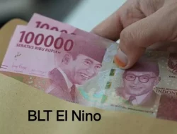 Dampak El Nino, BLT El Nino pun Meluncur