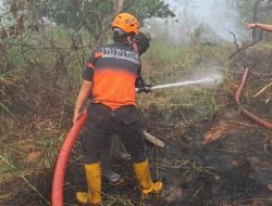 Tim Gabungan Terus Berupaya Kendalikan Kabut Asap