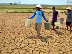 RI Waspada !, El Nino Diprediksi Semakin Parah, Digelar “Gorila El Nino”