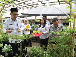 Meriahkan Hari Jadi Pontianak Lewat Gerakan Menanam Sayur