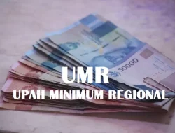 UMR Pontianak 2024 Ditetapkan Naik