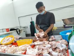 Malaysia Stop Subsidi Harga Ayam Hari ini