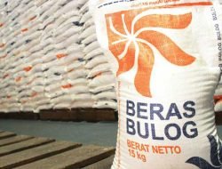 Bulog Akui Program Bantuan Pangan dan OP Gagal Turunkan Harga