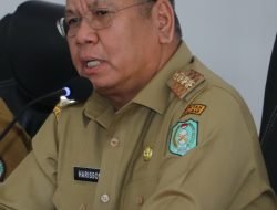 Harisson Yakin Setiap Capres-Cawapres Jalankan Amanah UU Tentang IKN